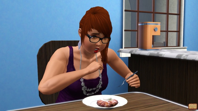 Koning Krokant Pro Friteuse en Vrieshap Pro IJsmachine (premium content voor De Sims 3)