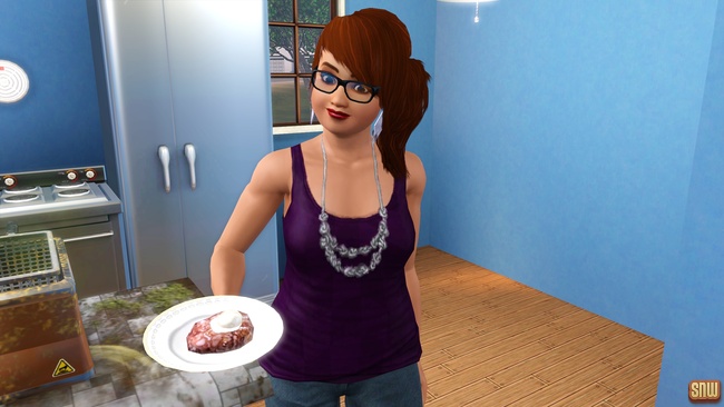 Koning Krokant Pro Friteuse en Vrieshap Pro IJsmachine (premium content voor De Sims 3)