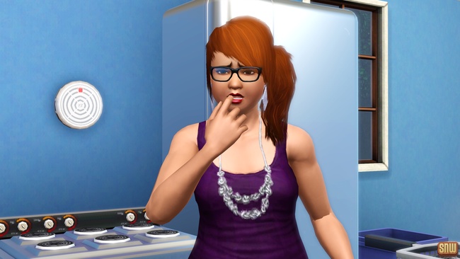 Koning Krokant Pro Friteuse en Vrieshap Pro IJsmachine (premium content voor De Sims 3)