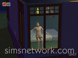 The Sims 2