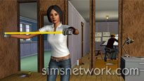 The Sims 3 Ambitions