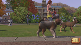 The Sims 3 Pets