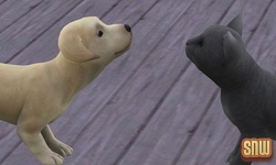 De Sims 3 Beestenbende: BaBa de hond en Oopsie-Daisy de kat