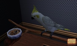 De Sims 3 Beestenbende: Vogels