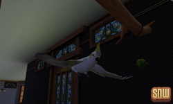 De Sims 3 Beestenbende: Vogels