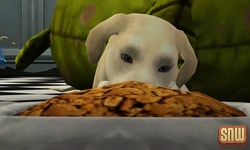 De Sims 3 Beestenbende: BaBa de hond