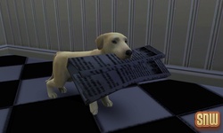 De Sims 3 Beestenbende: BaBa de hond