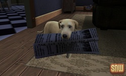 De Sims 3 Beestenbende: BaBa de hond