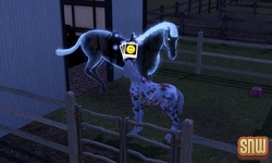 De Sims 3 Beestenbende: Estela het spookpaard en GooGoo