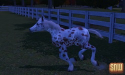 De Sims 3 Beestenbende: GooGoo het paard