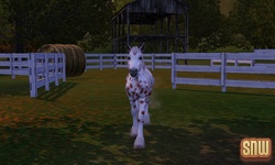 De Sims 3 Beestenbende: GooGoo het paard