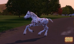 De Sims 3 Beestenbende: GooGoo het paard