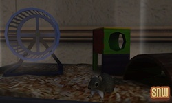 De Sims 3 Beestenbende: Eekhoorn