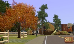 De Sims 3 Beestenbende: Appaloosa Plains
