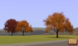 De Sims 3 Beestenbende: Appaloosa Plains