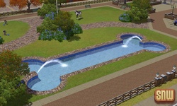 De Sims 3 Beestenbende: Hondenzwembad