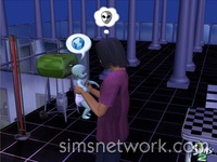 De Sims 2