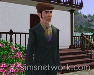 De Sims 3 Hidden Springs